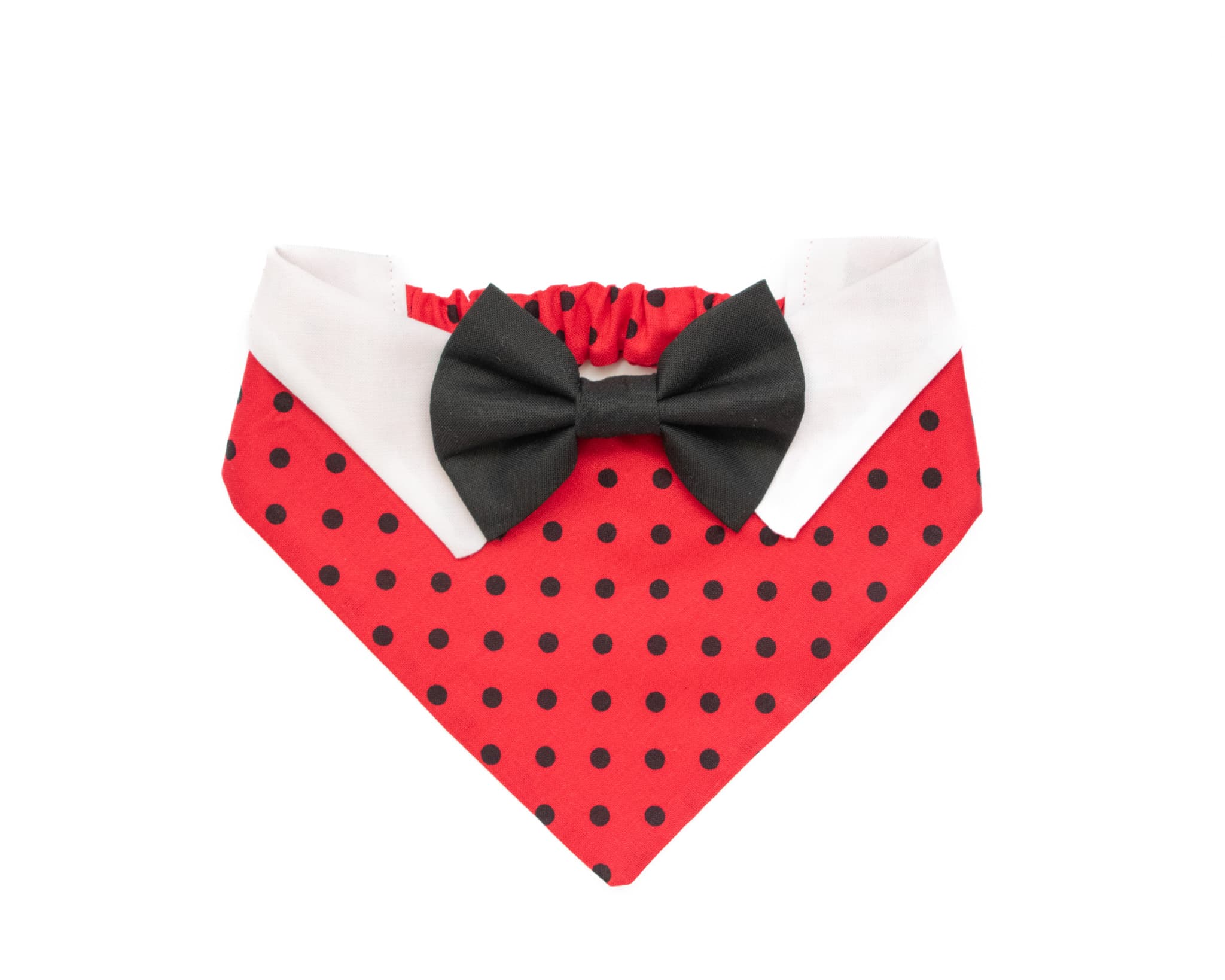 Ladybug Dot & Bow Tie