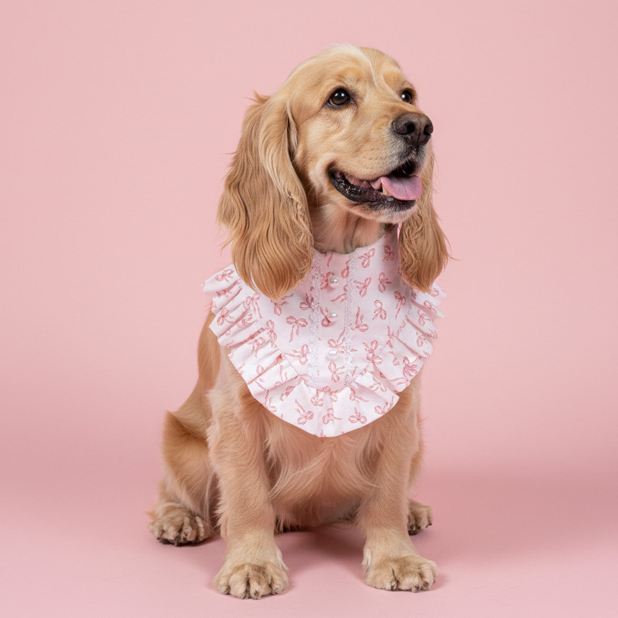 Blush Ballerina Bandana